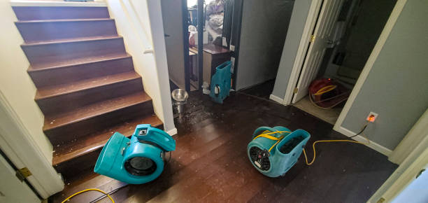 Best Ceiling water damage repair  in North Boston, NY