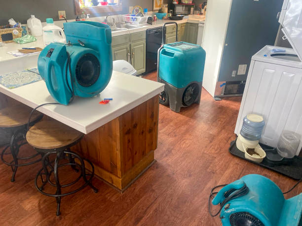 Best Residential water damage restoration  in North Boston, NY