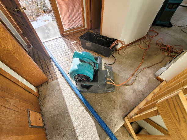 Trusted North Boston, NY Water damage restoration Experts