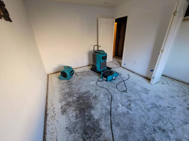 Sewage cleanup and water damage restoration in North Boston, NY