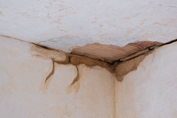 Best Sewage cleanup and water damage restoration  in North Boston, NY