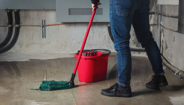  North Boston, NY Water damage restoration Pros