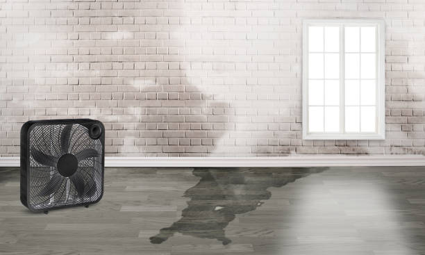 Best 24/7 water damage repair  in North Boston, NY