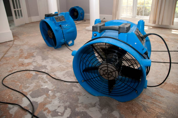 Best Mold removal after water damage  in North Boston, NY