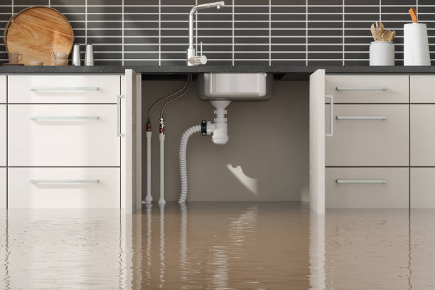 Best Fire Damage Restoration  in North Boston, NY