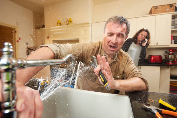 Best Flood damage cleanup  in North Boston, NY